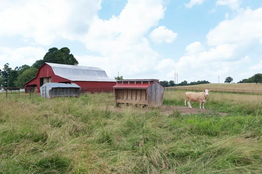 Farm scene at Melanie Billingsly's